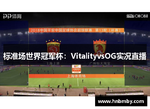 标准场世界冠军杯：VitalityvsOG实况直播